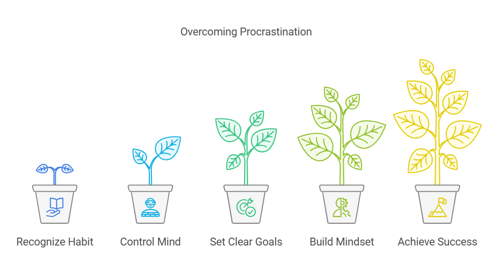 Napkin Selection 1 1 2